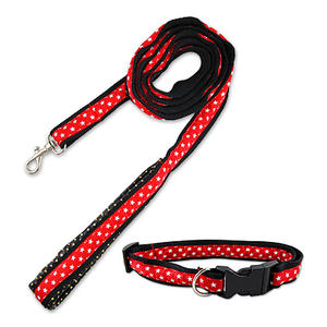 Custom Pet Leashes/ Pet Collars of Your Own Make Your Pets Outstanding